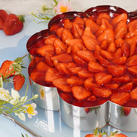 Erdbeertorte mit Schokobiskuit