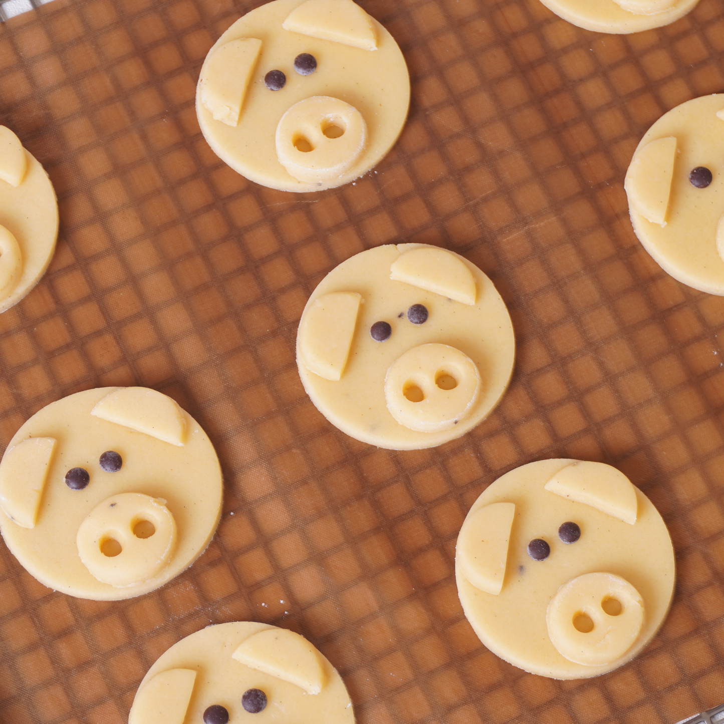 Schweinchen