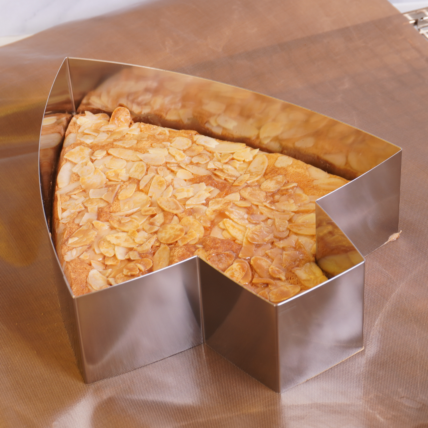 Tannenbäumchen